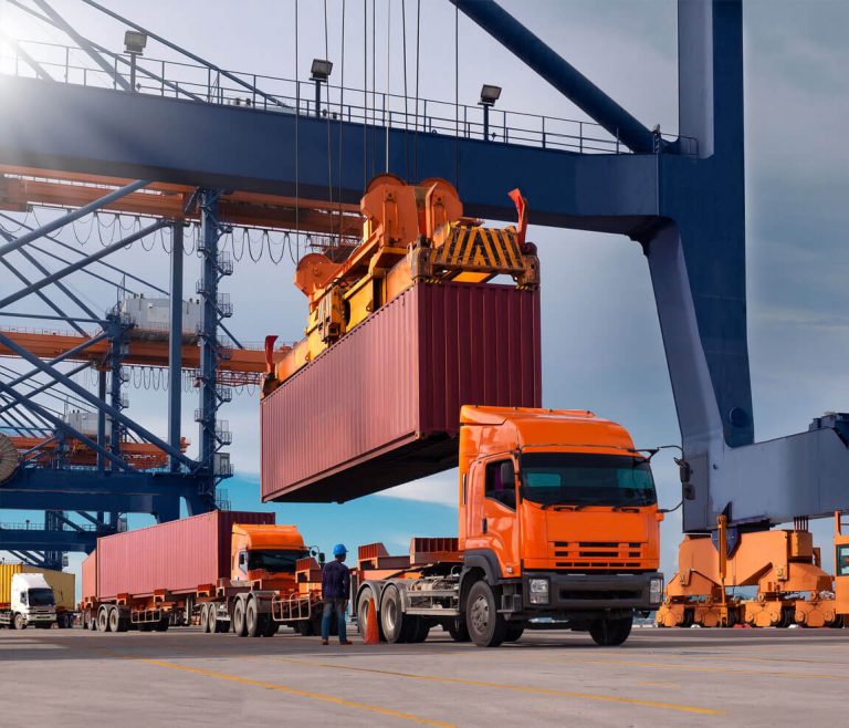 Professional packers and movers at work